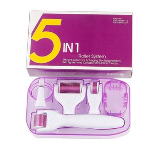 5 In 1 Derma Roller Kozmetik İğneleme Enstrümanı Microneedle Roller For Face Micro Needle Face Roller-Saklama Kutusu İçerir