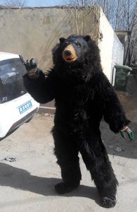 Реальные фотографии медведь костюм талисмана животных мех талисмана персонажа из мультфильма костюм для взрослых размер бесплатная доставка