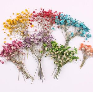 120 pçs Prensado Flor Seca Gypsophila paniculata Enchimento Para Resina Epóxi Jóias Fazendo Cartão Postal Moldura Capa De Telefone Artesanato Faça Você Mesmo