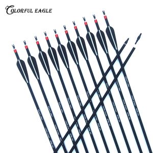 28/30/31 inches Carbon Arrows Archery Hunting Spine 500 with Replaceable Arrowheads for Recurve compound Bow Arrows Target Practice