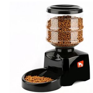 5.5L Alimentador automático programado para mascotas Grabación de mensajes de voz y pantalla LCD Gran Smart Dogs Cats Food Bowl Dispensador T200624