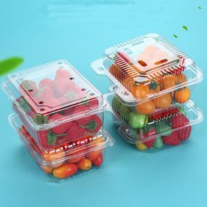 500g Fruits Fraise Cerise Légumes Boîte Jetable Transparent Blister Fruits Emballage Boîte En Plastique Pour Agriculteur Supermarché