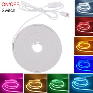 Tira de luz Led neón USB de 5V, cinta Flexible, cuerda impermeable 2835, barra suave, tubo de silicona, blanco, rojo, azul, verde, amarillo, rosa, 5M