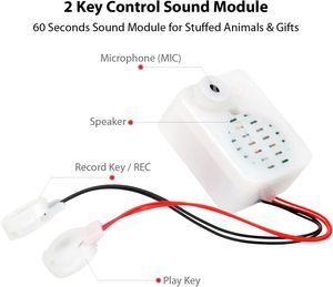 Module vocal enregistrable en 60 secondes, boîte à son à 2 touches, dispositif d'enregistrement d'histoires pour bricolage, enregistrement personnalisé, cadeaux d'anniversaire