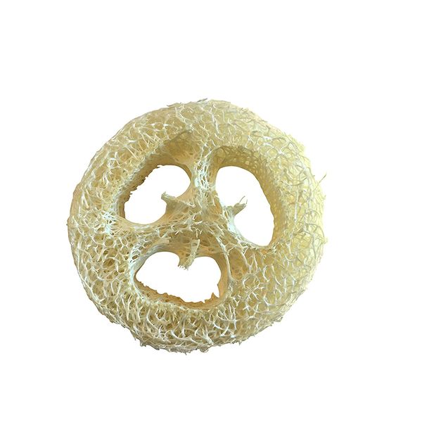 2cm thick natural loofah slices for crafting soap or holding dishes