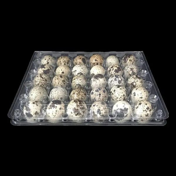 Egg Quail Storage Holder Small Boxcarton Mini Dispenser Container Tray Case Cartons Clear Eggs Trays Holding Protection 240307