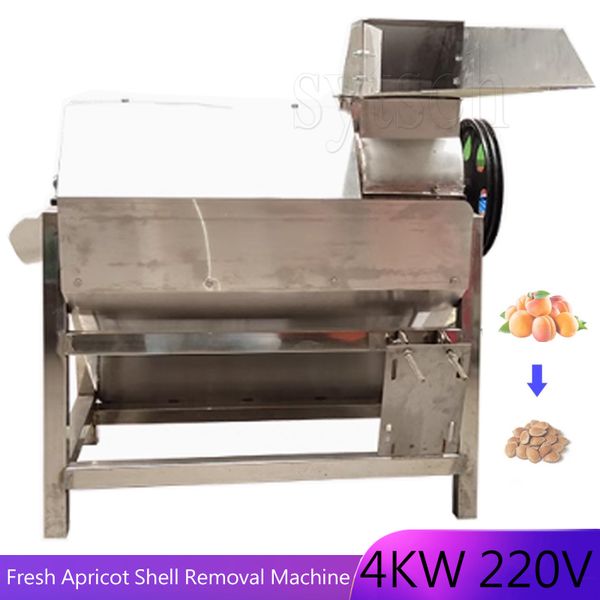 Electric stainless steel apricot kernel meat separator for pulp removal and almond flesh peeling