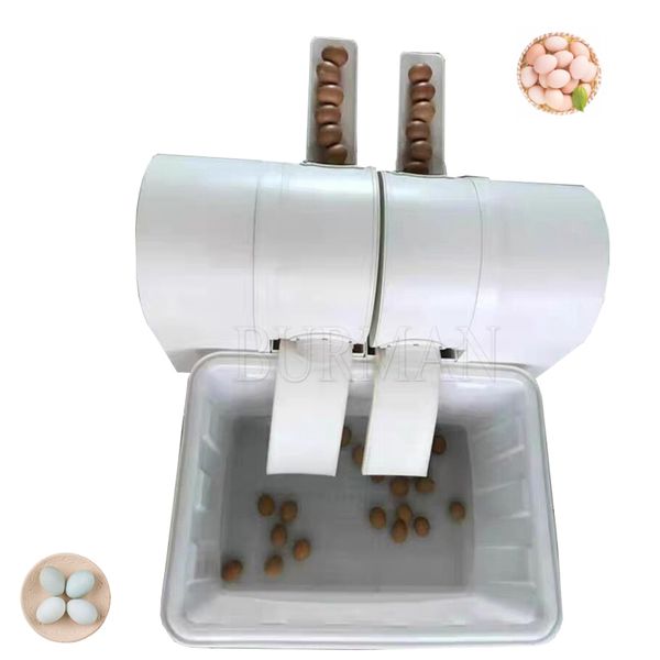 Affordable automatic egg washer for duck and chicken eggs, a one-person operation machine