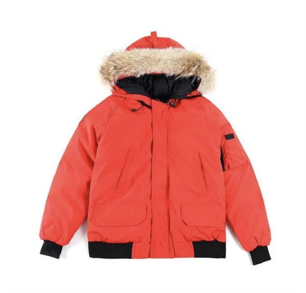 designer goosie down jacket cg winter fit warm canadas luxury jackets ruff men winter warm goosing coat exterior size xs-xxl egzr, Black
designer goosie down jacket cg winter fit warm canadas luxury jackets ruff men winter warm goosing coat exterior size xs-xxl egzr, Black