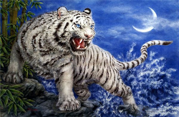 new needlework diy diamond painting cross stitch kits full resin round diamond embroidery mosaic home decor animal white tiger yx1368
new needlework diy diamond painting cross stitch kits full resin round diamond embroidery mosaic home decor animal white tiger yx1368