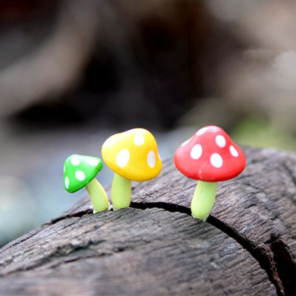 wholesale artificial mini mushroom fairy garden miniature moss terrariums resin crafts figurines for home decoration accessories
wholesale artificial mini mushroom fairy garden miniature moss terrariums resin crafts figurines for home decoration accessories