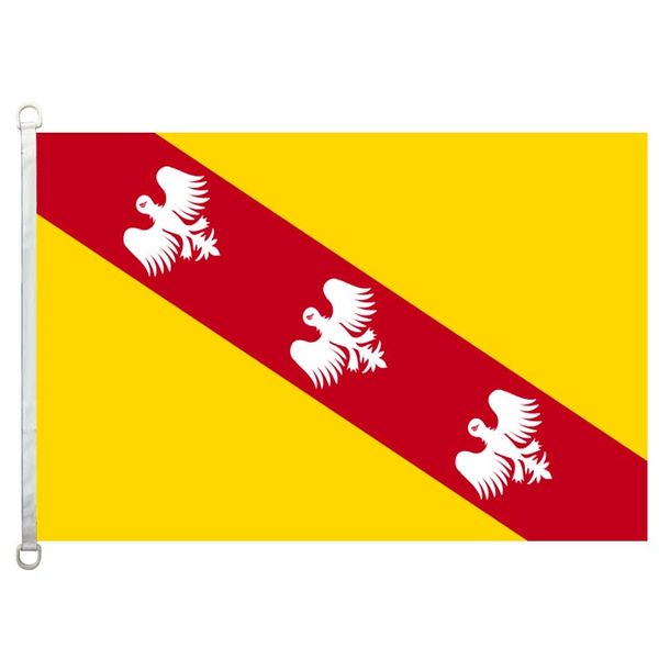 good flag lorraine flags banner 3x5ft-90x150cm 100% polyester country flags, 110gsm warp knitted fabric outdoor flag
good flag lorraine flags banner 3x5ft-90x150cm 100% polyester country flags, 110gsm warp knitted fabric outdoor flag