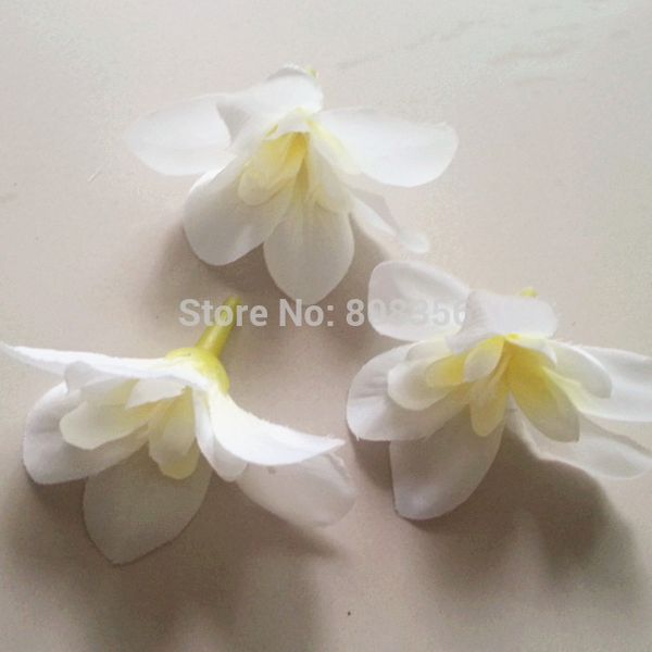 600pcs orchid flower heads 7.6cm/3 inch butterfly orchid phalaenopsis artificial fabric silk chrysanthemum flowers flower head
600pcs orchid flower heads 7.6cm/3 inch butterfly orchid phalaenopsis artificial fabric silk chrysanthemum flowers flower head