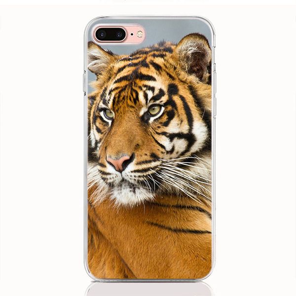 for lg stylo 5 4 3 v40 v30 v20 mini g7 g6 g5 g6 mini q6 q7 q8 k7 thinq case soft tpu print pattern animal tiger phone cases
for lg stylo 5 4 3 v40 v30 v20 mini g7 g6 g5 g6 mini q6 q7 q8 k7 thinq case soft tpu print pattern animal tiger phone cases