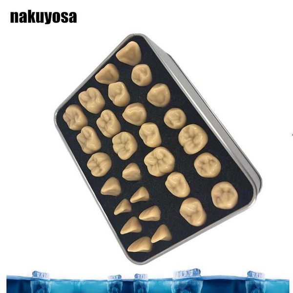 tooth model 2 times/1.5 times standard carving model oral dental teaching contrast high quality
tooth model 2 times/1.5 times standard carving model oral dental teaching contrast high quality