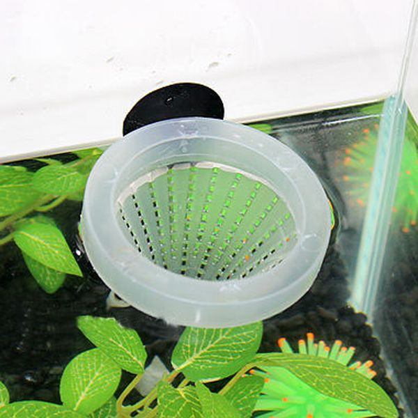 tapered aquarium fish feeder red worm funnel fish food feeding cup tool aquarium feeder hopper sucker
tapered aquarium fish feeder red worm funnel fish food feeding cup tool aquarium feeder hopper sucker