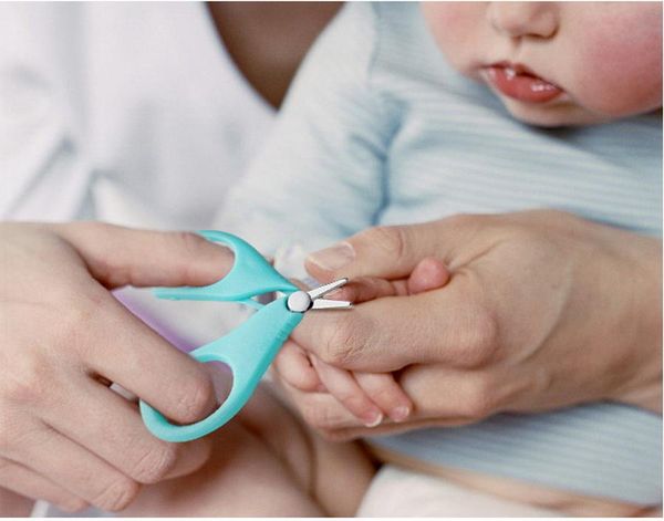 200pcs safety nail clippers scissors cutter for newborn baby convenient daily baby nail scissors
200pcs safety nail clippers scissors cutter for newborn baby convenient daily baby nail scissors
