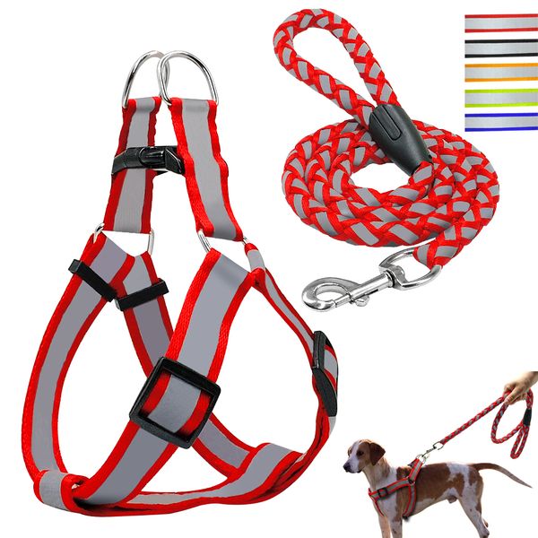 step-in reflective nylon dog harness vest no pull adjustable pet puppy walking training harness leash set for small medium dog
step-in reflective nylon dog harness vest no pull adjustable pet puppy walking training harness leash set for small medium dog