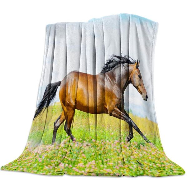 animal horse running in the field outdoor scenery flannel fleece bed blanket bedspread coverlet bed cover soft warm blankets
animal horse running in the field outdoor scenery flannel fleece bed blanket bedspread coverlet bed cover soft warm blankets