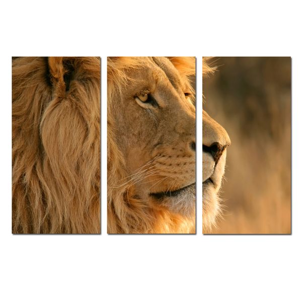 3 panels modern fantasy animal awesome lion landscape print painting canvas wall art gift picture office living room home decor hyp-a1098
3 panels modern fantasy animal awesome lion landscape print painting canvas wall art gift picture office living room home decor hyp-a1098