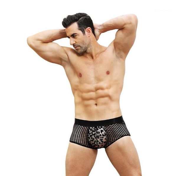lace panties mens leopard boxers underwears designer g string hollow out gauze slim briefs males fashion, Black;white
lace panties mens leopard boxers underwears designer g string hollow out gauze slim briefs males fashion, Black;white