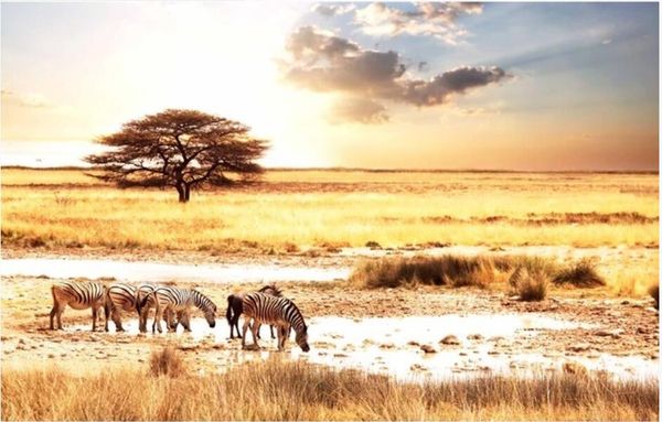 3d wallpaper custom p african steppe zebra dusk landscape background living room home decor 3d wall murals wallpaper for walls 3 d
3d wallpaper custom p african steppe zebra dusk landscape background living room home decor 3d wall murals wallpaper for walls 3 d