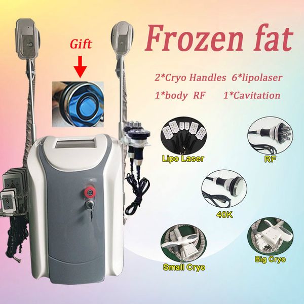 модернизированная машина cryolipolysis 2 ручек cryo тучная замерзая тело лазера липосакции уменьшая кавитацию ультразвука тучная взрывая
модернизированная машина cryolipolysis 2 ручек cryo тучная замерзая тело лазера липосакции уменьшая кавитацию ультразвука тучная взрывая