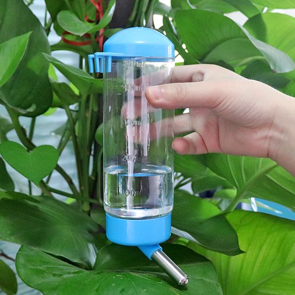 500 ml rabbit drinker bottle automatic pet waterer nipple bottle for dogs rabbit pet water dispenser hang bottle drinker
500 ml rabbit drinker bottle automatic pet waterer nipple bottle for dogs rabbit pet water dispenser hang bottle drinker