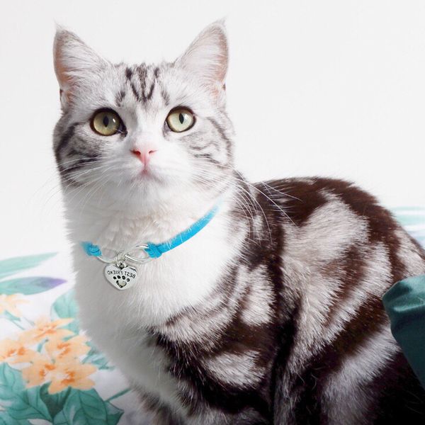 cute cat collars adjustable pet puppy kitten leonberger collar heart tag accessories necklace for small dogs cats kitty chihuahua collar s
cute cat collars adjustable pet puppy kitten leonberger collar heart tag accessories necklace for small dogs cats kitty chihuahua collar s