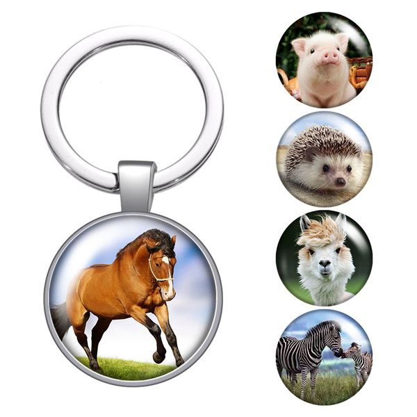 animal horse zebra hedgehog glass cabochon keychain bag car key chain ring holder charms silver keychains for men women gifts
animal horse zebra hedgehog glass cabochon keychain bag car key chain ring holder charms silver keychains for men women gifts
