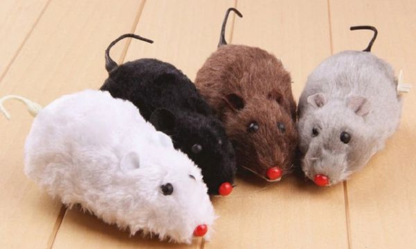 wind-up plush mouse children's chain toy wind-up walk mouse classic nostalgic mini toy simulation mice (ramdom color
wind-up plush mouse children's chain toy wind-up walk mouse classic nostalgic mini toy simulation mice (ramdom color