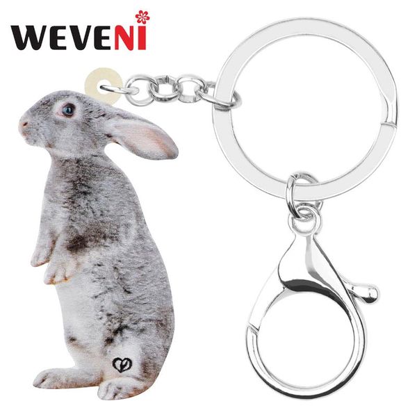 weveni акриловый серый пасхальный заяц брелки брелок животное брелок ювелирные изделия для женщин малыш девушка классический фестиваль подар, Silver
weveni акриловый серый пасхальный заяц брелки брелок животное брелок ювелирные изделия для женщин малыш девушка классический фестиваль подар, Silver