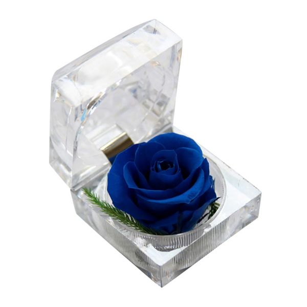 delicate everlasting flower red rose propose ring box christmas valentine's day gift women birthday gifts
delicate everlasting flower red rose propose ring box christmas valentine's day gift women birthday gifts