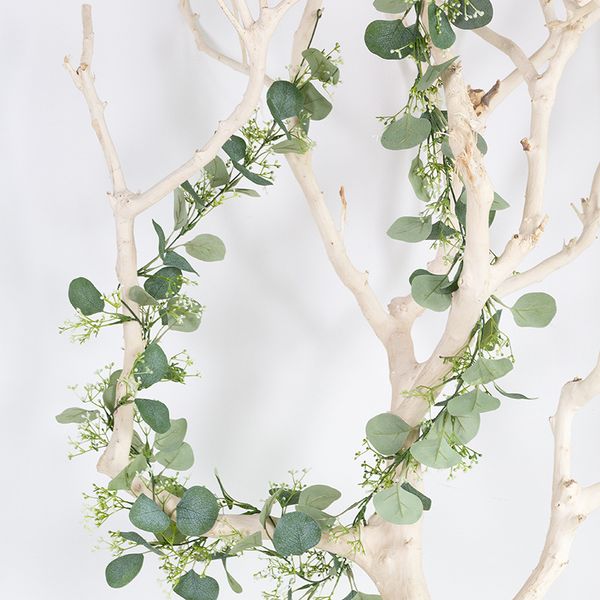 200cm eucalyptus vines for wedding artificial fake eucalyptus plants with fruit willow leaves vine rattan home garden decoration
200cm eucalyptus vines for wedding artificial fake eucalyptus plants with fruit willow leaves vine rattan home garden decoration