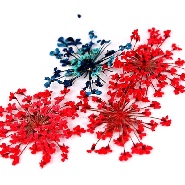 12 colors diy nail art mixed dried flowers with bottle 3d dry flower decoration nails stickers manicure tips qs888, Silver;gold
12 colors diy nail art mixed dried flowers with bottle 3d dry flower decoration nails stickers manicure tips qs888, Silver;gold
