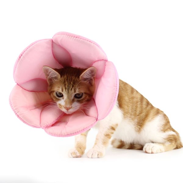 soft sponge flower shape cat collar pet dog recovery protective collar pet elizabeth circle wound healing anti-bite ring
soft sponge flower shape cat collar pet dog recovery protective collar pet elizabeth circle wound healing anti-bite ring