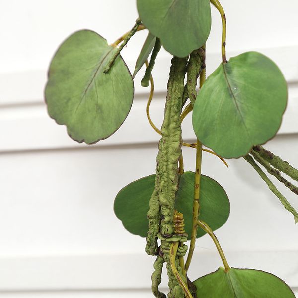2м искусственного ротанга висячие ivy vine зеленые листья ивы garland листва венок 
2м искусственного ротанга висячие ivy vine зеленые листья ивы garland листва венок