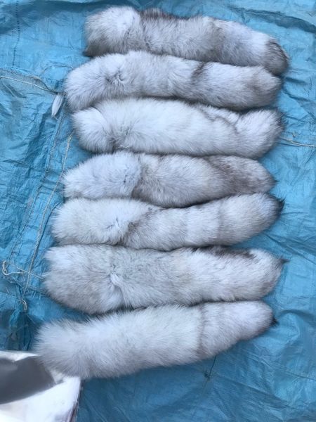 1pc-real genuine blue fox fur tail keychians cosplay toy keyrings car keychain bag charm tassels, Silver
1pc-real genuine blue fox fur tail keychians cosplay toy keyrings car keychain bag charm tassels, Silver