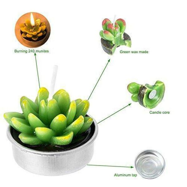 l6pcs artificial succulent plants cactus candle for family decoration birthday party wedding site decoration candlelight nm
l6pcs artificial succulent plants cactus candle for family decoration birthday party wedding site decoration candlelight nm