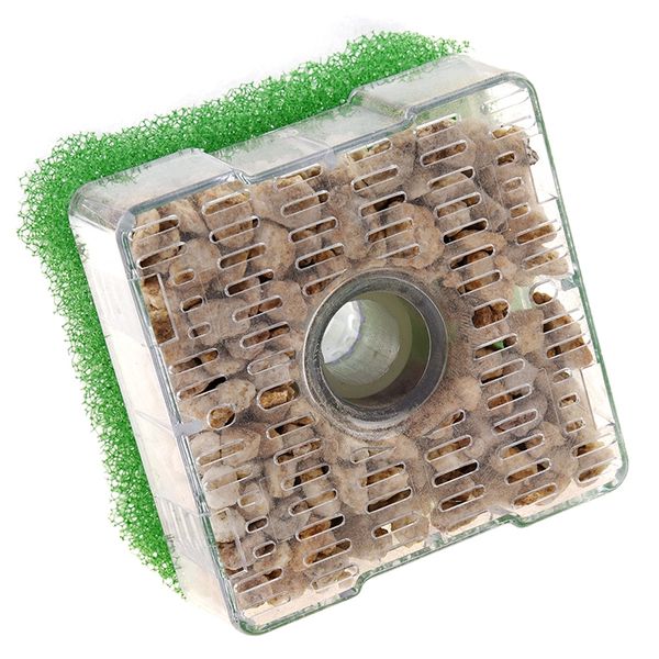 fashionnew xy-2011 air driven biochemical bio corner sponge filter for aquarium fish tank other aquarium fish
fashionnew xy-2011 air driven biochemical bio corner sponge filter for aquarium fish tank other aquarium fish