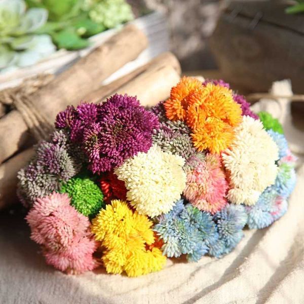 new arrival fake flower succulent planta soft glue rubber fleshy plant wedding birthday party supplies artificial plastic plants
new arrival fake flower succulent planta soft glue rubber fleshy plant wedding birthday party supplies artificial plastic plants