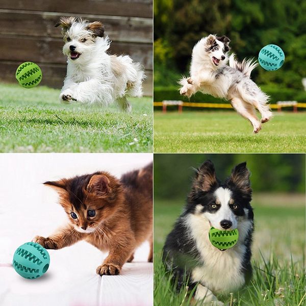dog thrower chew toy elastic natural rubber mint ball feeding ball pet teeth chew cleaning balls food funny mint interactive e
dog thrower chew toy elastic natural rubber mint ball feeding ball pet teeth chew cleaning balls food funny mint interactive e
