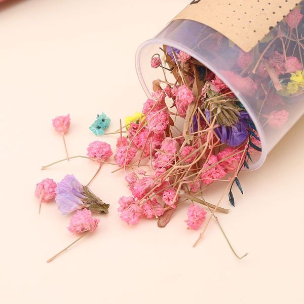 confetti push pop dried flower bridesmaid shooters wedding birthday party favors supplies decor
confetti push pop dried flower bridesmaid shooters wedding birthday party favors supplies decor