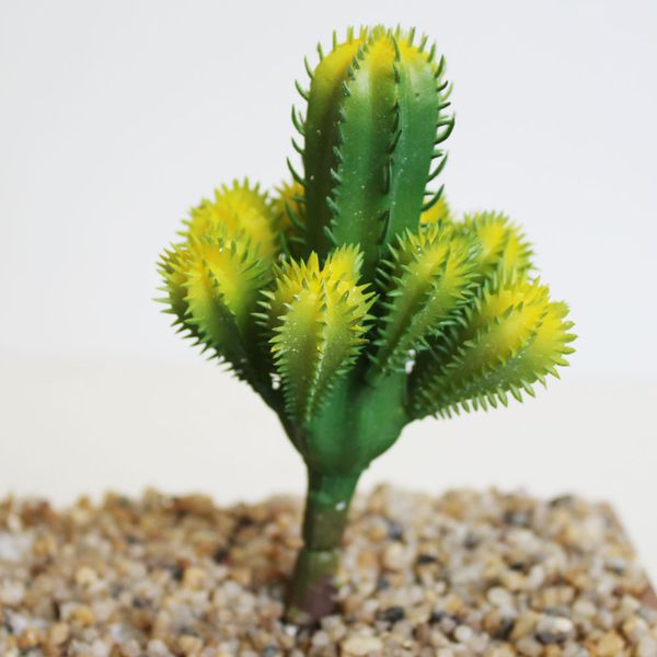 artificial succulents plant simulated cactus bonsai deskfake plants plastic floral garden home office
artificial succulents plant simulated cactus bonsai deskfake plants plastic floral garden home office