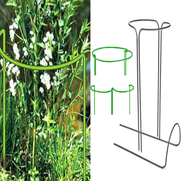 2 pcs flower plant support stakes semi circular metal frame professional for garden 66cy
2 pcs flower plant support stakes semi circular metal frame professional for garden 66cy