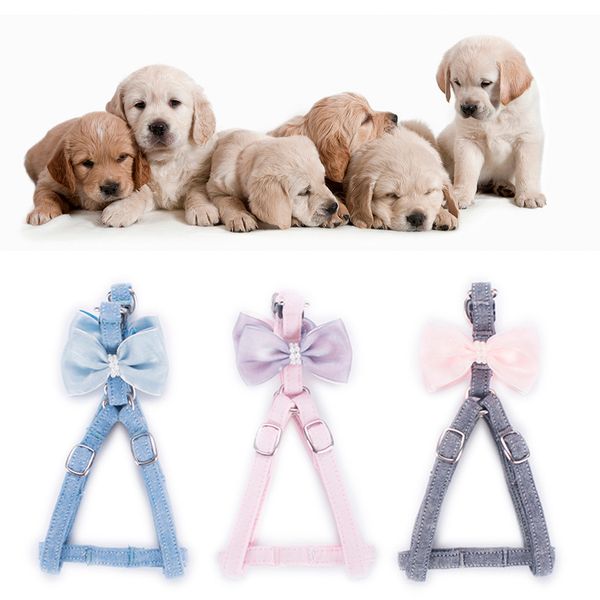 dog leash pet adjustable cat dog leash long small medium chest strap bowknot soft gauze chest strap set w725 
dog leash pet adjustable cat dog leash long small medium chest strap bowknot soft gauze chest strap set w725