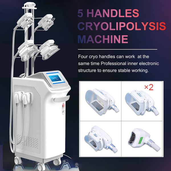 cryolipolysis fat e liposuction massage machine fat reduction body contouring fat ing slimming beauty equipment salon use
cryolipolysis fat e liposuction massage machine fat reduction body contouring fat ing slimming beauty equipment salon use