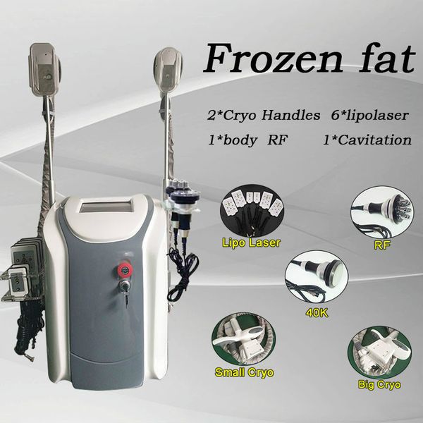 2020 popular fat ing slimming machine cryolipolysis vacuum weight loss safety cryotherapy cryo fat e machine for sale, Black;white
2020 popular fat ing slimming machine cryolipolysis vacuum weight loss safety cryotherapy cryo fat e machine for sale, Black;white