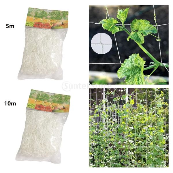 2 pieces fruit vegetable 5m 10m plants trellis climbing net flexible string
2 pieces fruit vegetable 5m 10m plants trellis climbing net flexible string