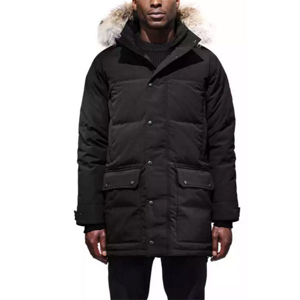 Down e Parkas clothing_trade
Down e Parkas clothing_trade